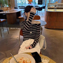 ��/2026�����¿����������Ƹ�¶�������������ݳ�������