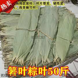 厂家野生干粽叶粽子叶端午包粽子粽叶批发斤商用端午野生大号