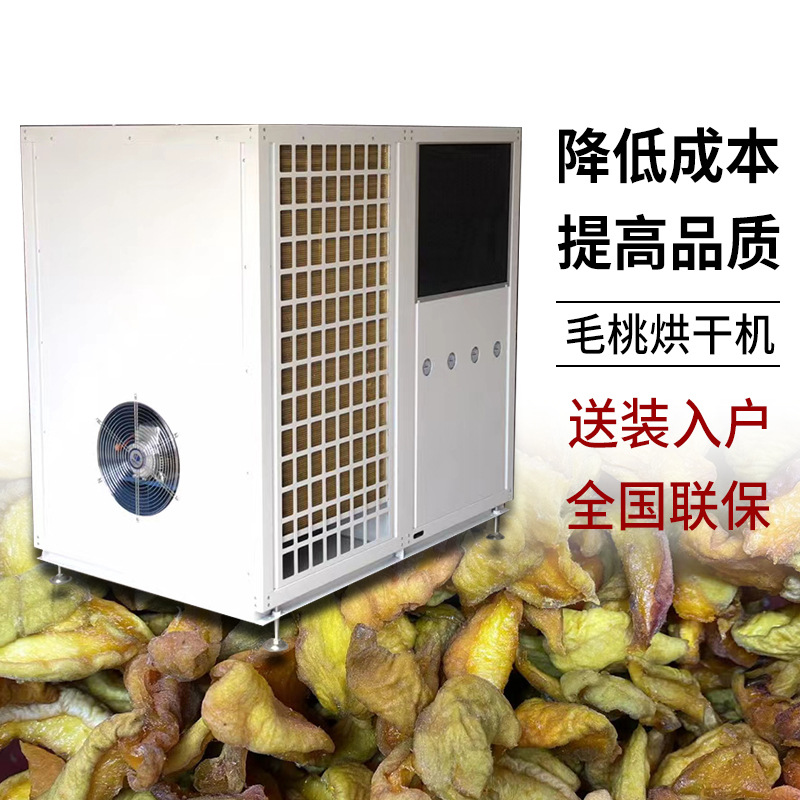 空气能毛桃干烘干机 桃脯烘干设备 果脯 水果风干设备制造厂家