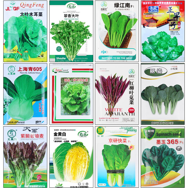 批发四季叶菜类蔬菜种子菜种香菜白菜萝卜菜籽生菜青菜种籽孑菠菜