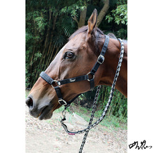 牽馬籠頭馬龍韁繩耐磨繩套紡織全套籠套八尺龍調教馬具馬術用品