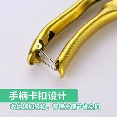 Home Fruit Tree Pruning Shears Sharp Portable Branch Scissors Flower Art Bonsai Flower Branch Scissors Professional Gardening Shears Wholesale