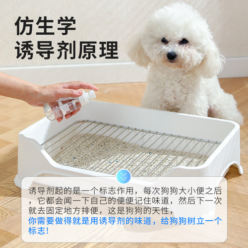 New pet toilet inducing agent dog toilet defecation inducing agent positioning toilet training spray l cross-border wholesale