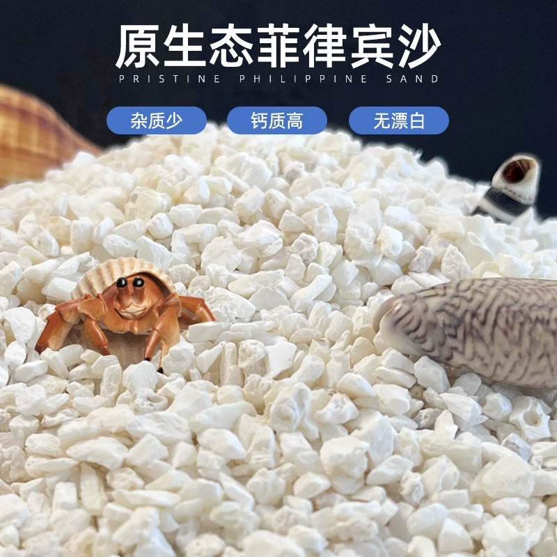 Филиппинский песочный аквариум с крабом-отшельник