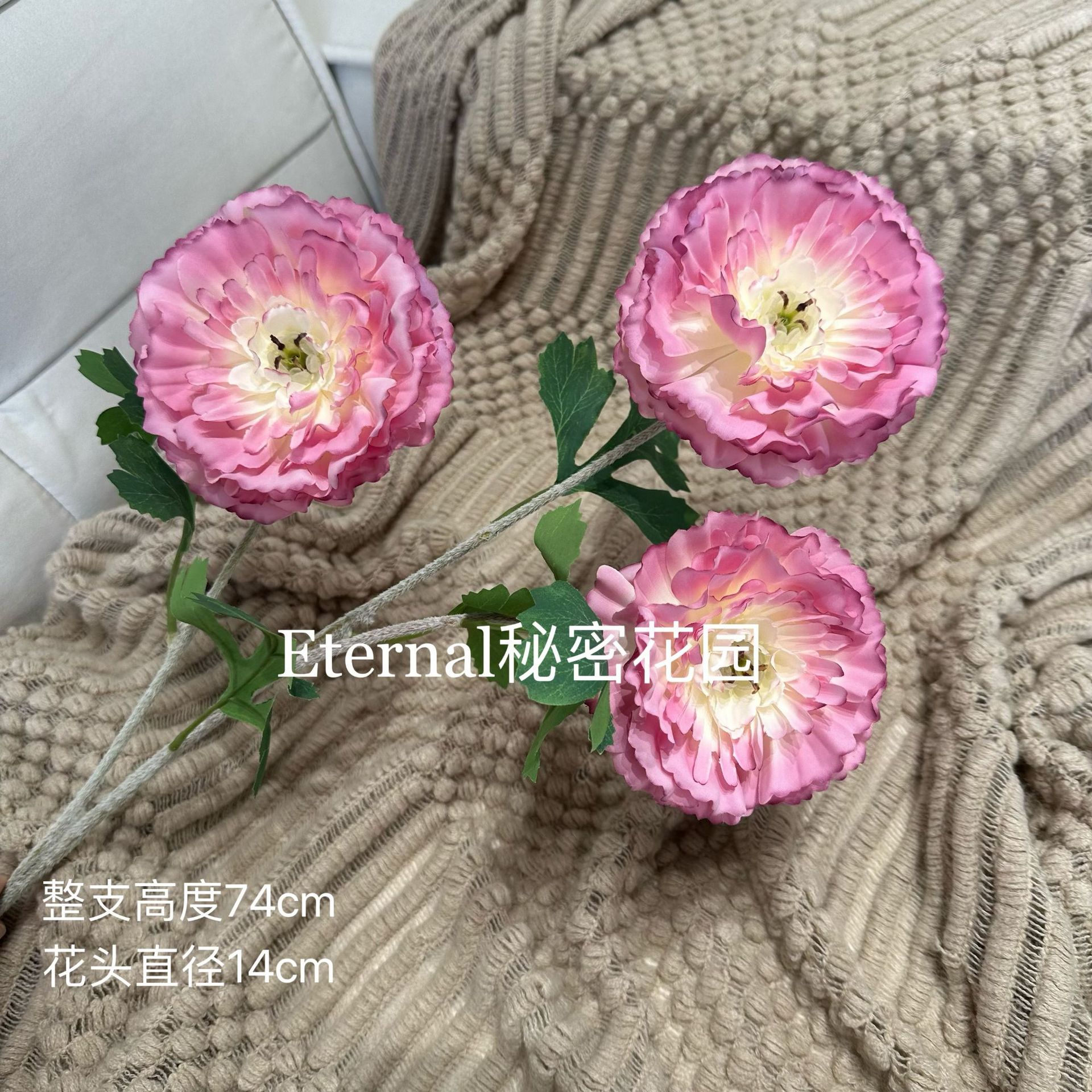 로터스 로즈 레드