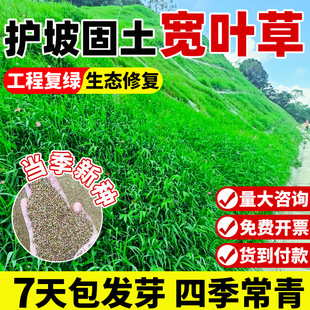 ��ϲ�ݲ����o�¾G�����~ȸ�޲ݷN�ͺ��ͺ��͸ߜصVɽ�;G��ƺ�N��