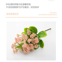 ĭMǻcinsС·滨ҾӕbzӰ