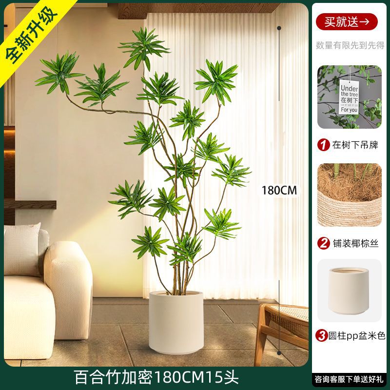 [W Ruyi Bamboo] Chậu sâu và cao 180CM15