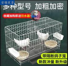 芦丁鸡繁殖笼专用笼鸽子笼养家用大号大配对大型不锈钢色鸟子