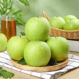 砀山青皇冠梨薄皮当季新鲜水果批发整箱脆甜可口多汁梨子中国
