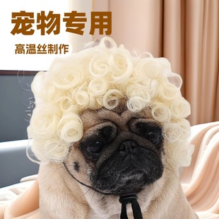 New pet cat dog universal wig beige short curly hair pompous explosive head funny novelty party wig headdress
