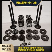 进气门1001422198 潍柴博杜安6M26排气门1001426081原厂 Baudouin