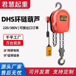 DHS type electric chain hoist 1 ton 3T5T mini small crane hoist 280V380V chain hoist