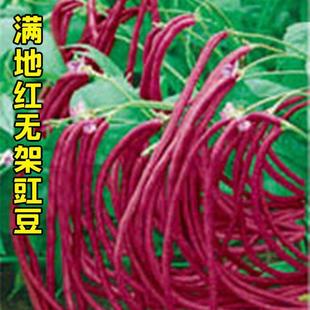 �o�ܼt�����N�ӵض������＾�߮a�t�L�����Ѱ����̨�����߲˷N��