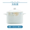 1 square pot