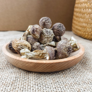 ������100g����a������Ģ�����׹��㹽�100�˰�������؛
