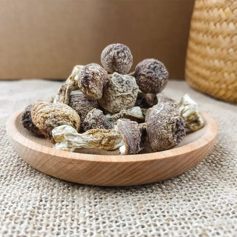 姬松茸100g古田产巴西菇蘑菇松茸菇香菇类100克巴西菇干货