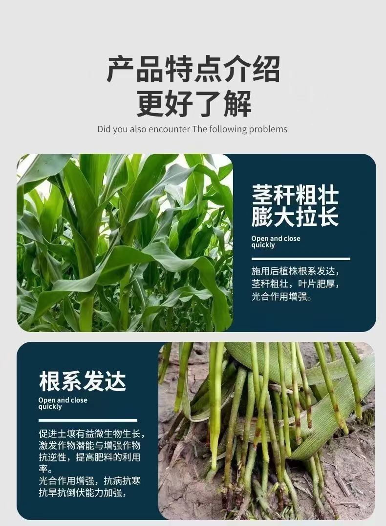 ΢��ͼƬ_202406101825011