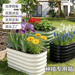 ���ٷNֲ�� ���@��ͥԺ�@ˇ���軨�� �߲��� ���@�Nֲ��Դ�^�S��