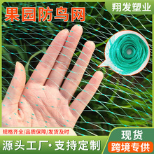 防鸟网果园网园林聚乙烯跨境绿色拦鸟网黑色加厚养殖大棚网围边网