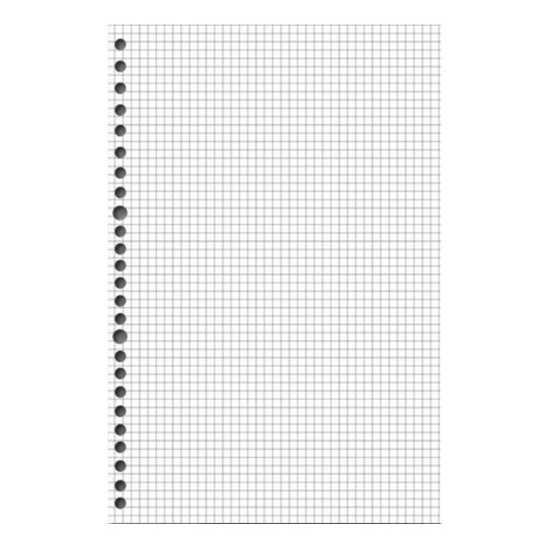 Sijin de hojas sueltas de reemplazo al por mayor de hojas sueltas de papel de 30 agujeros extraíble engrosado de doble cara horizontal cuaderno de hojas sueltas núcleo interno