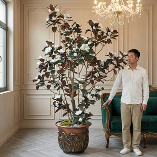 �߶˷������m������������ �͏d�p���b�ֲ�� �����Gֲ�[��