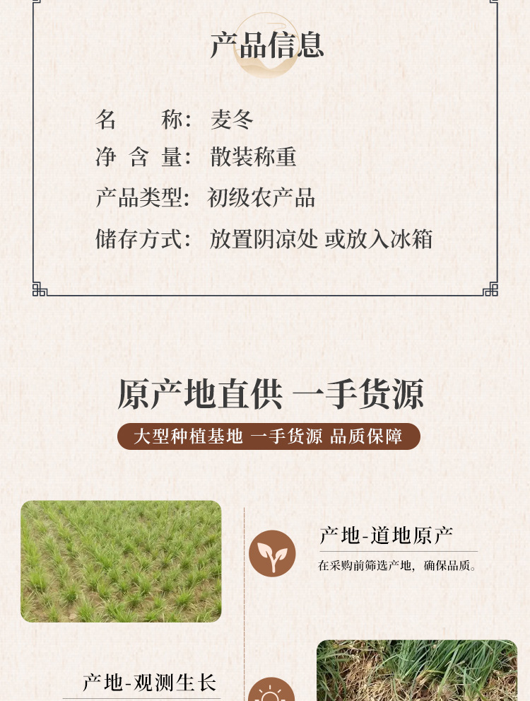 Dried Ophiopogon Root Mai Dong 麦冬 Sichuan Decoction Herb Sulfur-Free Traditional TCM Yin Tonic quality and texture