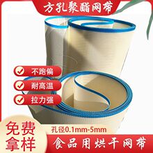 耐高温多层食品烘干机网带 干燥摊晒滤水筛分不跑偏方孔聚酯网带