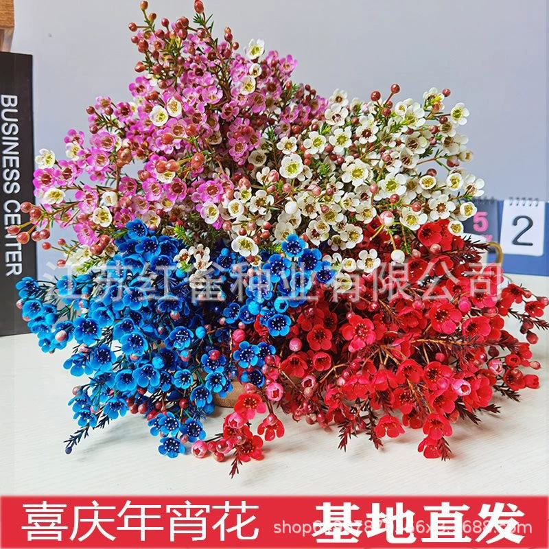 Юньнань австралийский цветок сливы оптом настоящий букет