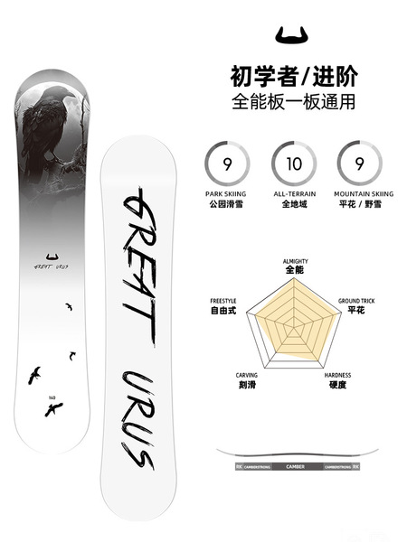 Professional ski board for adults carbon fibre
