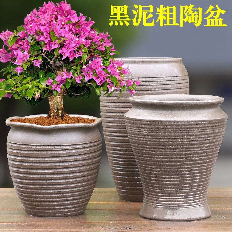 vasijas de cerámica de tierra absorción de agua, vasijas de cerámica transpirables, flores frescas, plantas verdes en el desierto, rosa, ciruela triangular, vasijas de cerámica de estilo retro