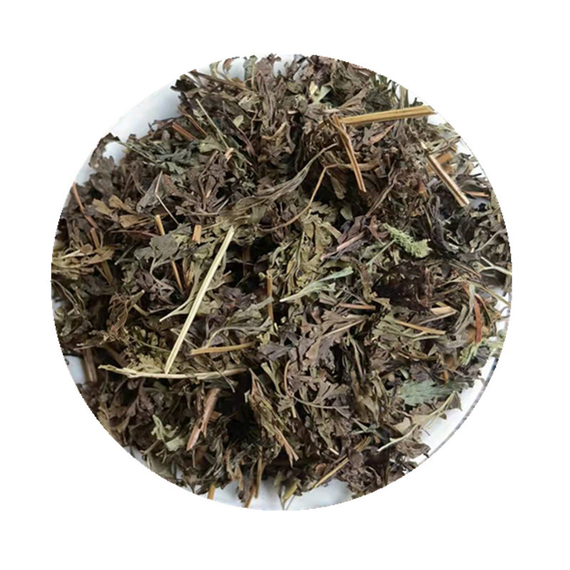 Wu Jiu Dried Herb Sazenia japonica Whole Plant Traditional Chinese Herbal Tea Material in use