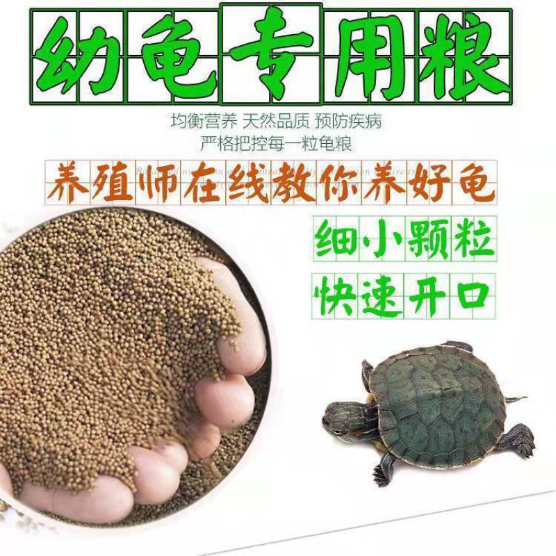 Turtle Food Tortoise feed Domesticated General type Red-eared Turtle Snapping Turtle Tortoise Little Turtle Young turtle Dedicated Calcium