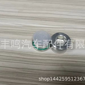 Maqnitik Diferensial Yağ Drenaj Tıxacı O-Ring ilə OE 33117525064 BMW üçün