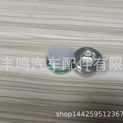 Magnetic Differential Oil Drain Plug with O-Ring No. Oe 33117525064 Suitable for Bmw (Differential assembly)