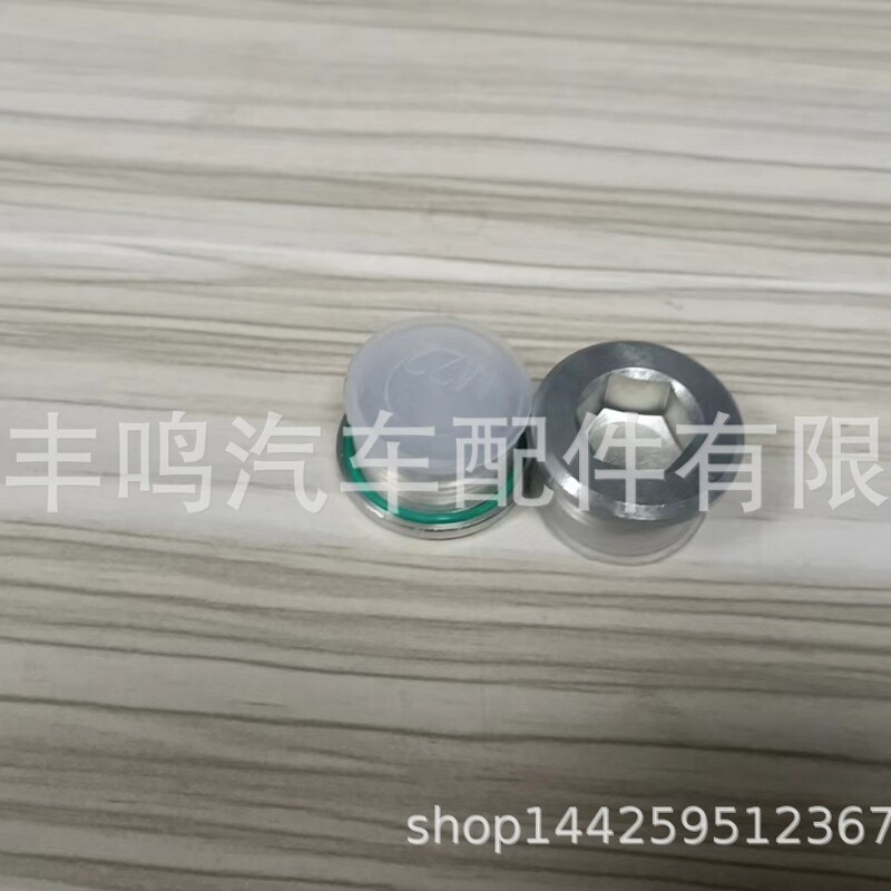 Magnetic Differential Oil Drain Plug with O-Ring No. Oe 33117525064 Suitable for Bmw
