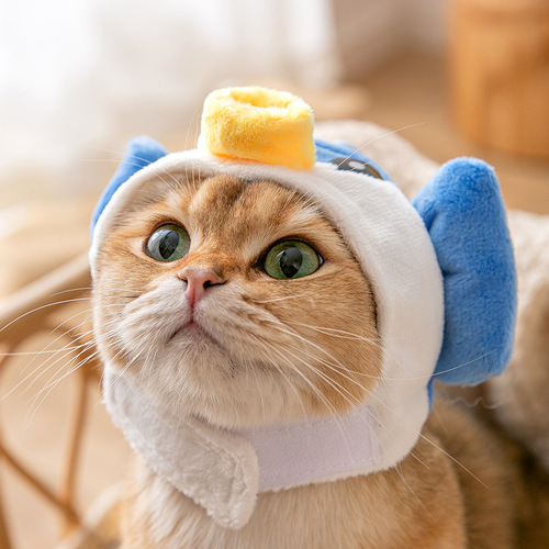 Cute Funny Cat Playful Pet Headgear Small Dog Cartoon Decorative Hat Small Dog Headwear Pet Supplies