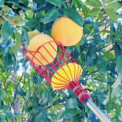 Amazon Fruit Picker, Fruit Picking Gadget, High-Altitude Harvesting Tool, High-Story Fruit Picker, Fruit Harvesting Tool
