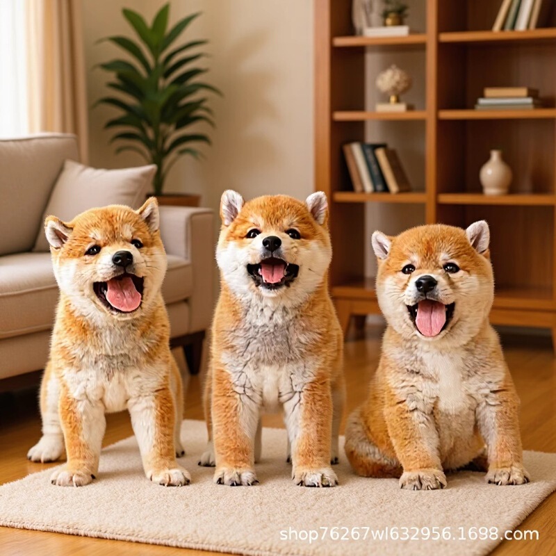 Customized Shiba Inu Akita Inu Pastoral Dog Yellow Dog White Face Dog Living Dog Pet Dog Medium Companion Dog Dog