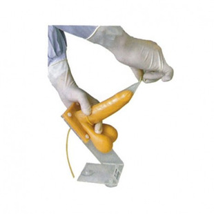 Advanced Male Condom Practice Model F9A