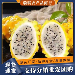 ����������C��5���������r�Ꭷˮ���SƤ10���l���]3���Sɫ������