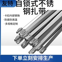 ���iʽ���P�����304���o��0.25*4.6*500����������䓽z��������