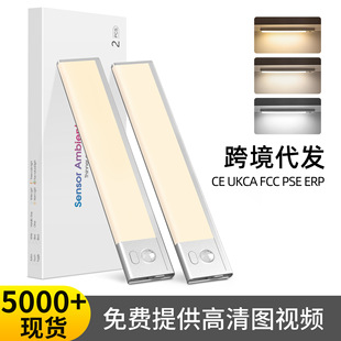 �G�ɿ羳LED�������w�Б����ˁ�������늿�����^���Б�Сҹ��