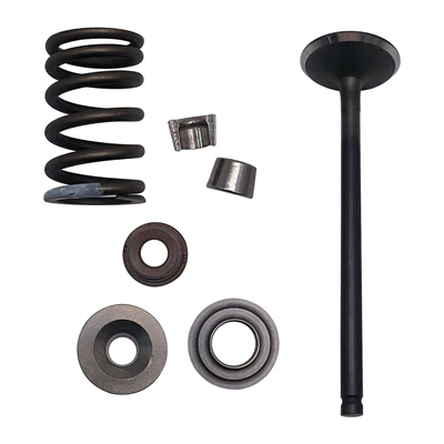 ATV, C5 intake – Motorcycle engine and accessories