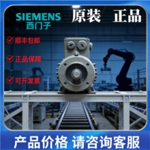 �����ӵ�Ƭ������1TL0001-1CC33-3AA5-Z5.5KW6PB3���µõ綯��