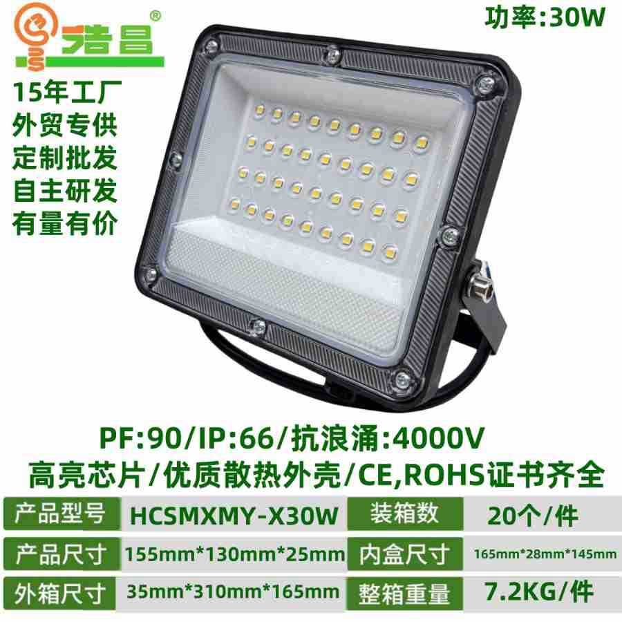 30W 렌즈 실외 방수 투광등(그래핀)