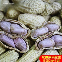 3斤装广东水煮红皮花生晒干蒜香五香原味农家盐咸干水煮花生晒干