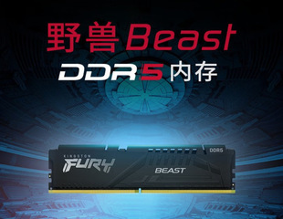 DDR5̨ʽ�C�ȴ�l FURYҰ�FBeast  EXPO���l 5600�l 32G(16G&times;2)