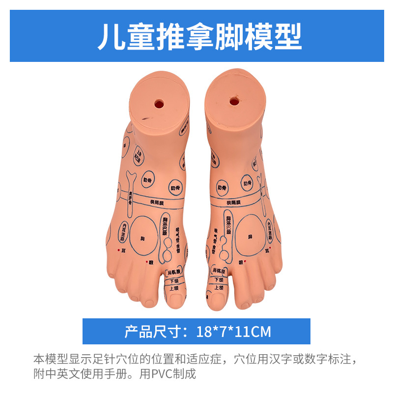 ȫ��Ѩλ���޾���ͼ��Ħ����ҽС�����ý�ѧ������ɩ��ѵ����ģ��