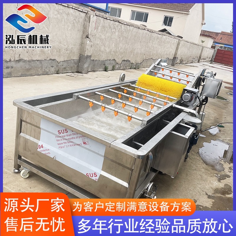 供应百合清洗机设备 全自动红枣气泡清洗机 不锈钢菱角清洗机